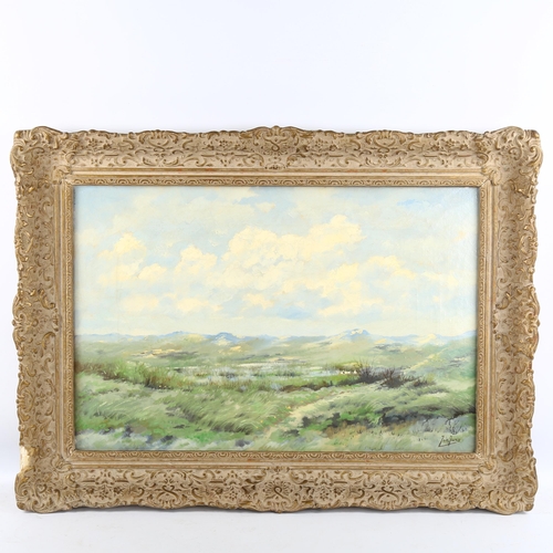 2188 - Jan Jans, oil on canvas, landscape, 40cm x 60cm, framed