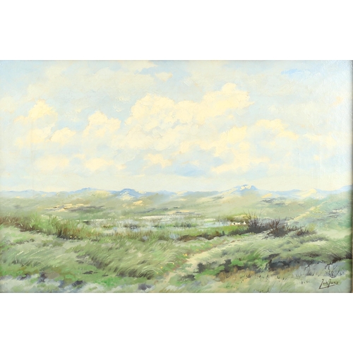 2188 - Jan Jans, oil on canvas, landscape, 40cm x 60cm, framed