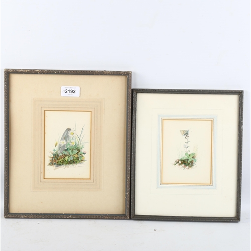 2192 - Edith Payne, 2 watercolours, botanical studies, 14cm x 9cm, framed