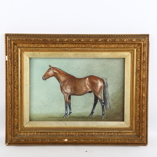 2195 - Coloured pastels, portrait of a horse, signed with monogram PAS, 18cm x 28cm, framed