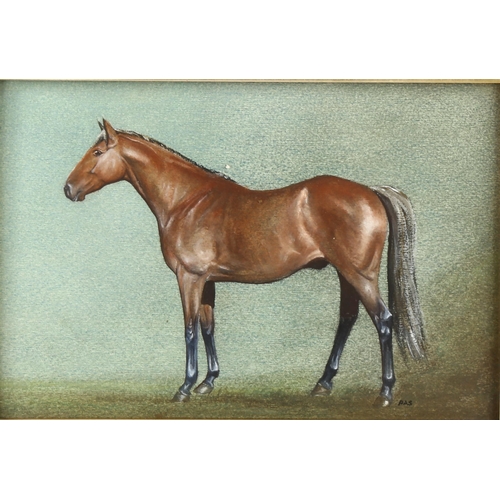 2195 - Coloured pastels, portrait of a horse, signed with monogram PAS, 18cm x 28cm, framed