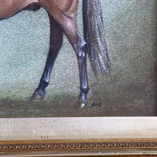 2195 - Coloured pastels, portrait of a horse, signed with monogram PAS, 18cm x 28cm, framed