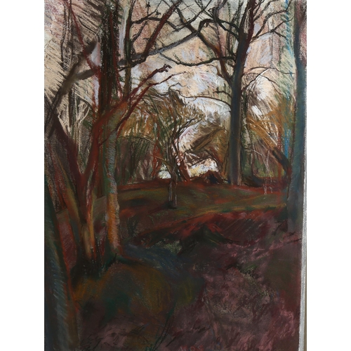 2256 - Mary Shields, coloured pastels, looking into the wood, artist's label verso, 74cm x 56cm, framed