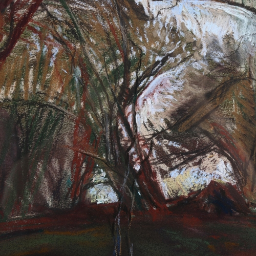 2256 - Mary Shields, coloured pastels, looking into the wood, artist's label verso, 74cm x 56cm, framed