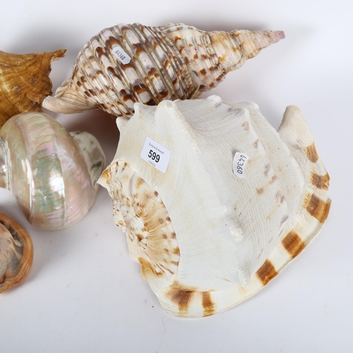 599 - A collection of 5 seashells, largest height 21cm