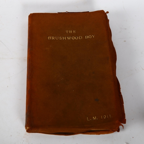 182 - The Brushwood Boy, by Rudyard Kipling, 1910, illustrations by F H Townsend, first illustrated editio... 