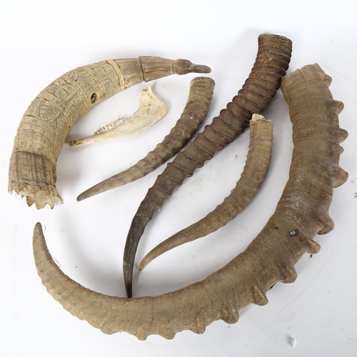 82 - Various animal horns, including Mongolia ibex, buffalo etc