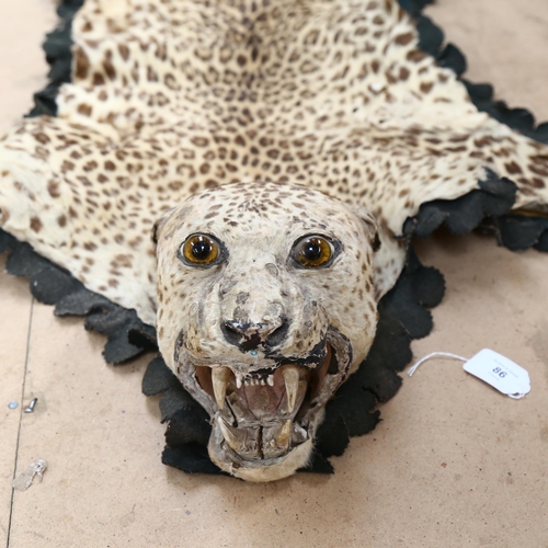 86 - TAXIDERMY - an early 20th century leopard skin rug, with head bearing teeth, on felt backing, length... 