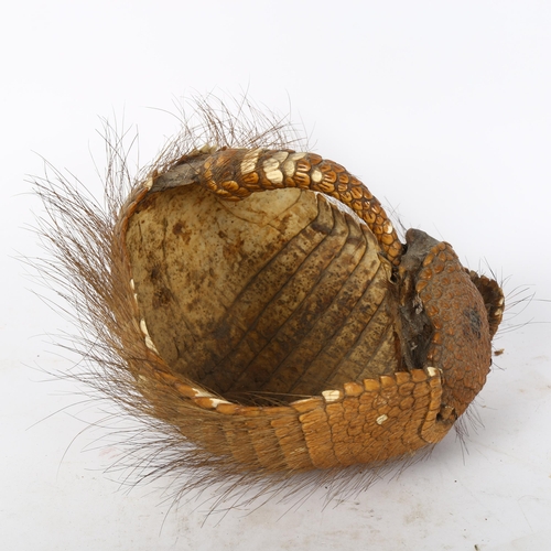 87 - TAXIDERMY - an armadillo basket, width 20cm