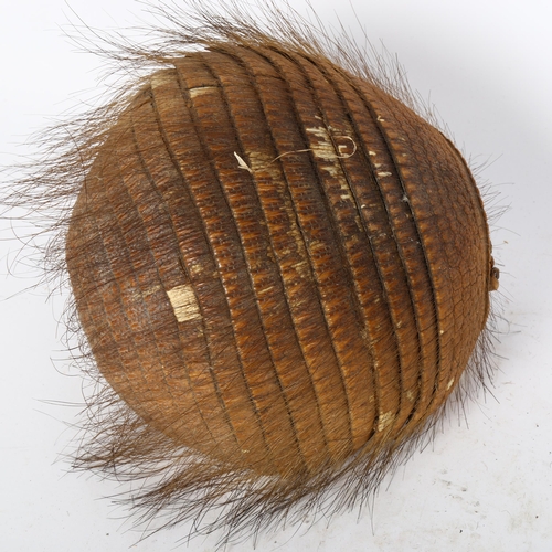 87 - TAXIDERMY - an armadillo basket, width 20cm