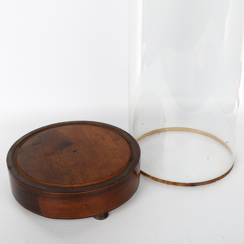 1040 - A Victorian glass dome on original rosewood and marquetry inlaid stand, overall height 54cm