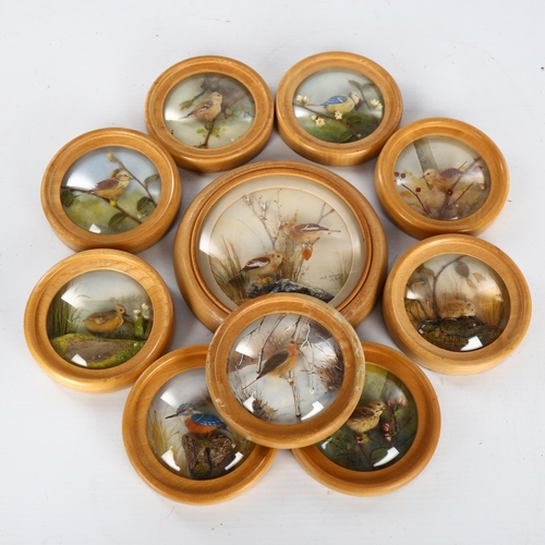 1146 - H E Hervey RMS, 10 miniature diorama pictures behind convex glass depicting garden birds, made with ... 