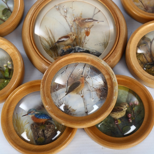 1146 - H E Hervey RMS, 10 miniature diorama pictures behind convex glass depicting garden birds, made with ... 