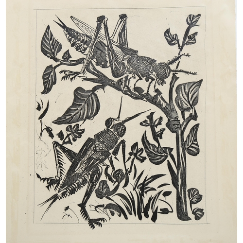 2010 - Pablo Picasso, sugarlift etching, grasshoppers, 1936/1942, on ambroise watermarked paper, sheet size... 