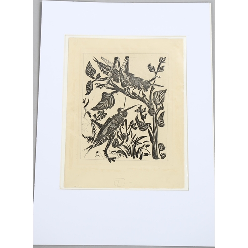 2010 - Pablo Picasso, sugarlift etching, grasshoppers, 1936/1942, on ambroise watermarked paper, sheet size... 
