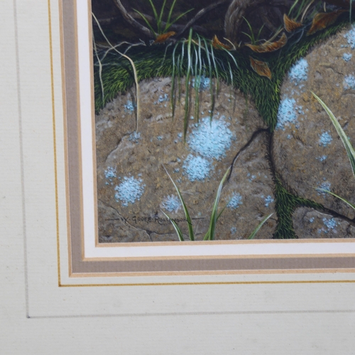 2017 - W Geoff Rollinson (born 1946), gouache, garden bird, signed, 23cm x 16cm, framed