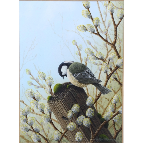 2018 - W Geoff Rollinson (born 1946), gouache, garden bird, signed, 22cm x 16cm, framed