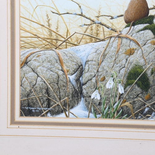 2019 - W Geoff Rollinson (born 1946), gouache, field mice and snowdrops 1991, signed, 27cm x 32cm, framed