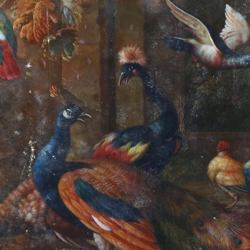 2025 - Oil on canvas, exotic birds on a terrace, late 19th/early 20th century, unsigned, 46cm x 61cm, frame... 