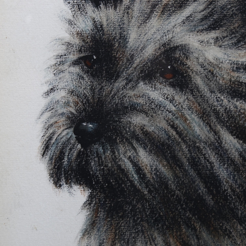 2070 - W Neale, watercolour/charcoal portrait of a Terrier, signed, 32cm x 20cm, framed