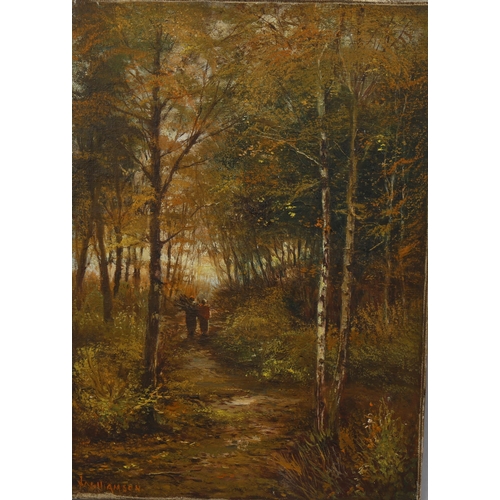 2071 - J Williamson, 19th century oil on canvas, Fairlight Glen Hastings, signed, 35cm x 25cm, framed