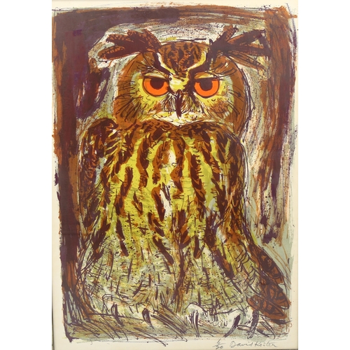 2096 - David Koster, screenprint, owl, signed in pencil, sheet size 75cm x 53cm, framed