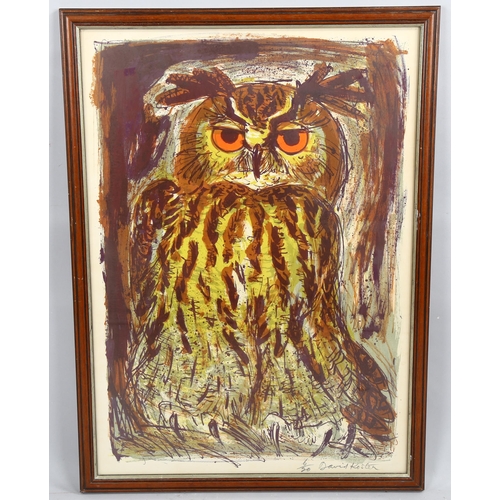 2096 - David Koster, screenprint, owl, signed in pencil, sheet size 75cm x 53cm, framed