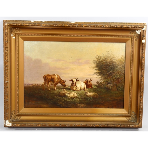 2100 - Henry Charles Bryant, oil on canvas, cattle and sheep, signed, 51cm x 77cm, framed