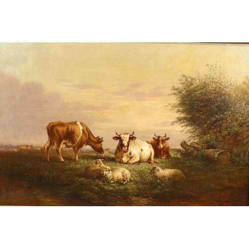 2100 - Henry Charles Bryant, oil on canvas, cattle and sheep, signed, 51cm x 77cm, framed