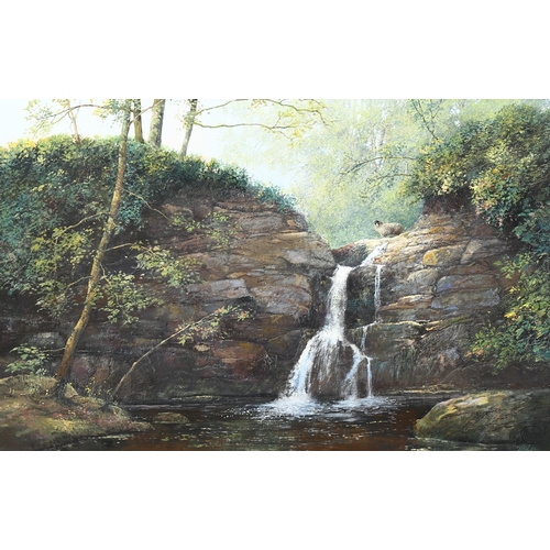 2102 - Clive Madgwick, oil on canvas, the waterfall, signed with monogram, 51cm x 76cm, framed