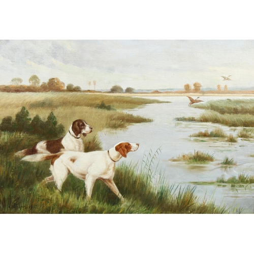 2108 - A Fisher, oil on canvas, Gundogs, signed, 49cm x 68cm, framed