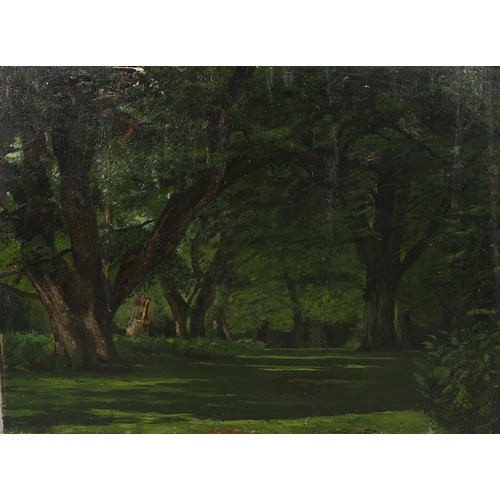 2139 - James Stroudley (1906 - 1988), oil on canvas, trees in Holland Park circa 1940s, 51cm x 68cm, unfram... 