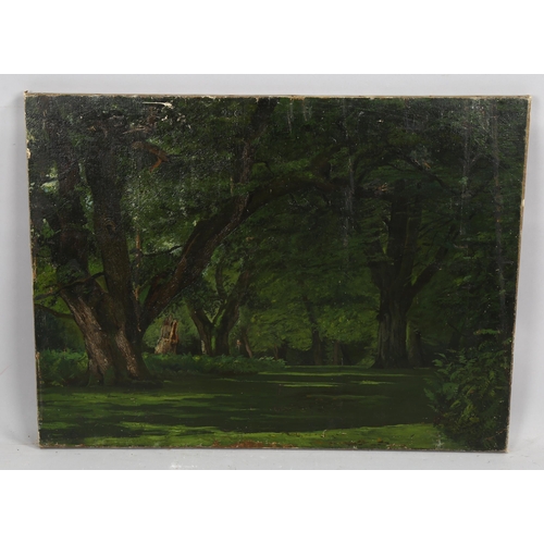 2139 - James Stroudley (1906 - 1988), oil on canvas, trees in Holland Park circa 1940s, 51cm x 68cm, unfram... 