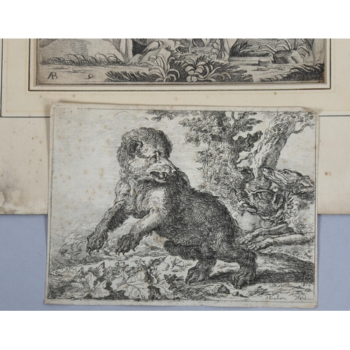 2154 - Abraham Hondius (1625 - 1695), engraving, dogs hunting a bear, dated 1676, sheet 14.5cm x 19.5cm, to... 