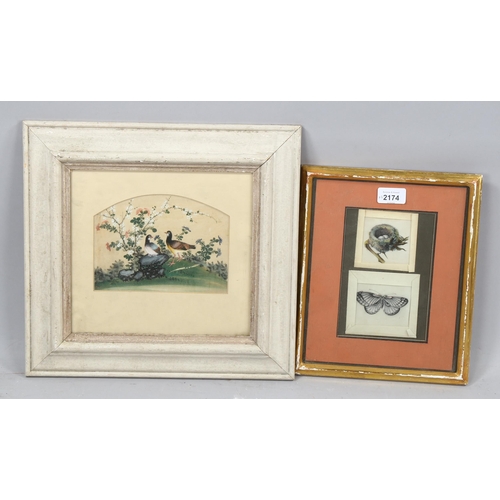 2174 - A Chinese watercolour on rice paper, exotic birds and flowers, 13cm x 18cm, and 2 smaller Chinese wa... 