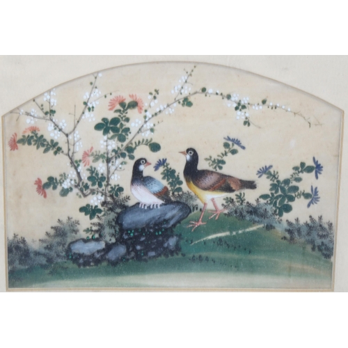 2174 - A Chinese watercolour on rice paper, exotic birds and flowers, 13cm x 18cm, and 2 smaller Chinese wa... 