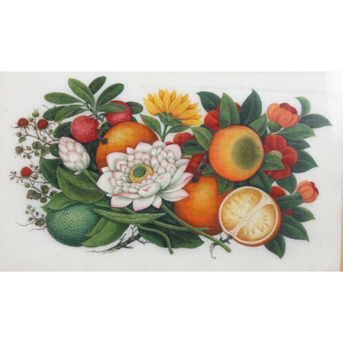 2175 - Chinese School, 2 finely detailed watercolours on rice paper, still life studies, fruit painting 18c... 