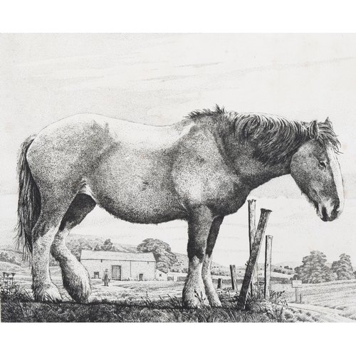 2199 - Simon Bull (1958), limited edition etching on paper, The Old Horse, signed and titled in pencil, Ed.... 