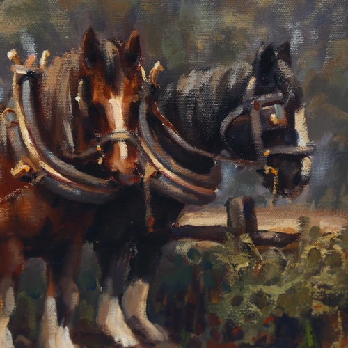 2215 - David Hyde (born 1947), oil on canvas, ploughing scene, signed, 50cm x 75cm, framed