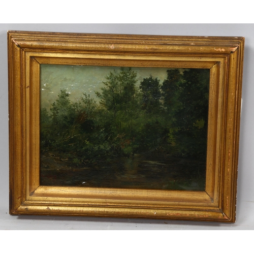 2217 - Attributed to Narcisse de la Pena (French, 1807 - 1876), oil on canvas, Foret de Fontainebleau 1873,... 