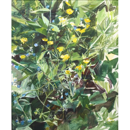 2225 - Simon Pierse (born 1956), oil on canvas, buttercups, 55cm x 45cm, framed