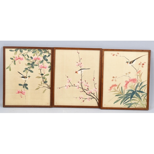 2228 - Chinese School, 3 watercolours on silk, birds and blossom, impressed signatures, 36cm x 29cm, framed