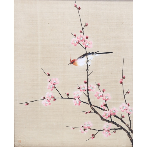 2228 - Chinese School, 3 watercolours on silk, birds and blossom, impressed signatures, 36cm x 29cm, framed