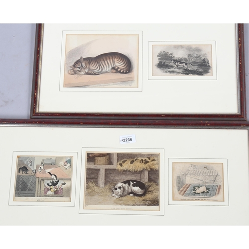 2236 - 19th century hand coloured engraving, the best friend, image 24cm x 34cm, and 5 x 19th century cat p... 