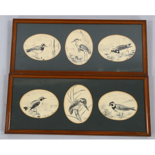 2238 - A Patterson?, 6 ink studies of birds, indistinctly signed and dated 1912, mounted in 2 frames, overa... 