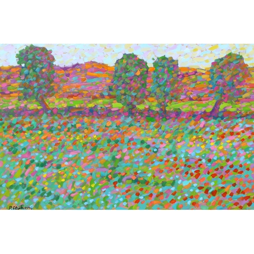 2246 - Paul Stephens, oil on board, summer's day poppy field, inscribed verso, 40cm x 60cm, framed