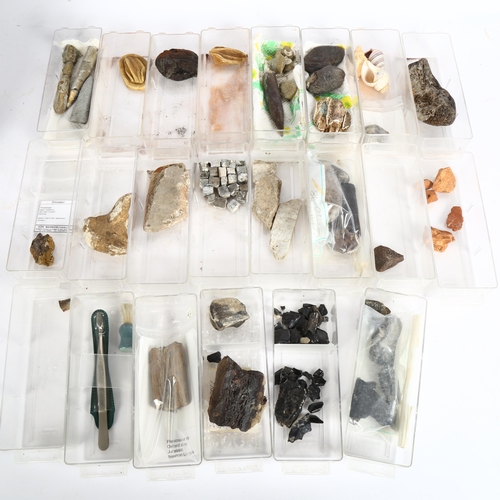 223 - Various fossils and bones, including iguanodon, plesiosaur rib etc