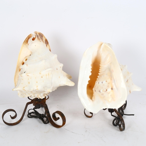 59 - A pair of conch shell table lamps, with wrought-iron bases, height 25cm