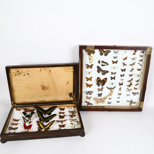 66 - TAXIDERMY - 2 cased collections of butterflies, including Papilio Thoas, Trogonoptera Brookiana, Cat... 