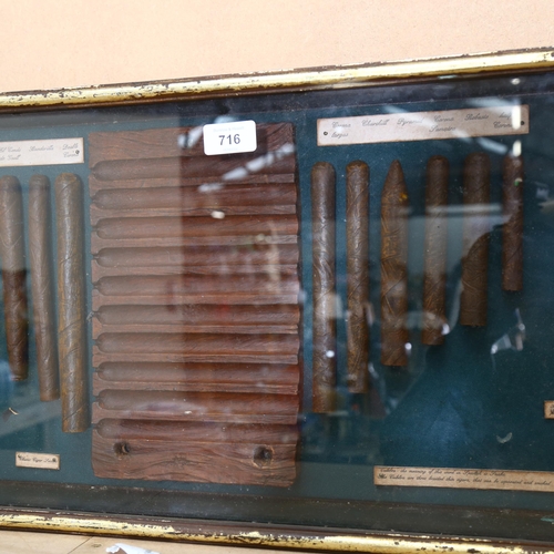 716 - A Vintage display case with various cigars displayed, display includes pictures of various famous pe... 